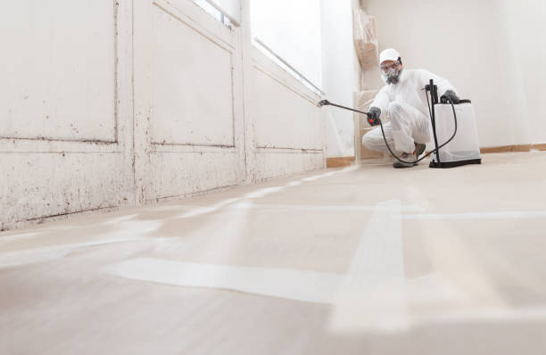 24/7 Emergency Mold Removal experts in North Bend, OR
